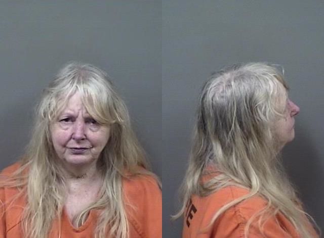 Linda Cramer arrested June 16 on a misdemeanor charge of domestic battery.